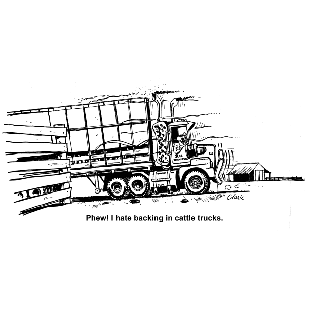 Reversing a Cattle Truck - Swamp Cartoons